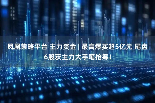 凤凰策略平台 主力资金 | 最高爆买超5亿元 尾盘6股获主力大手笔抢筹！